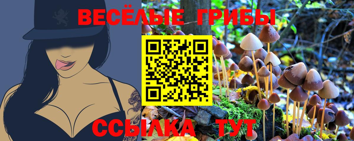 Псилоцибиновые грибы ЛСД Борисоглебск