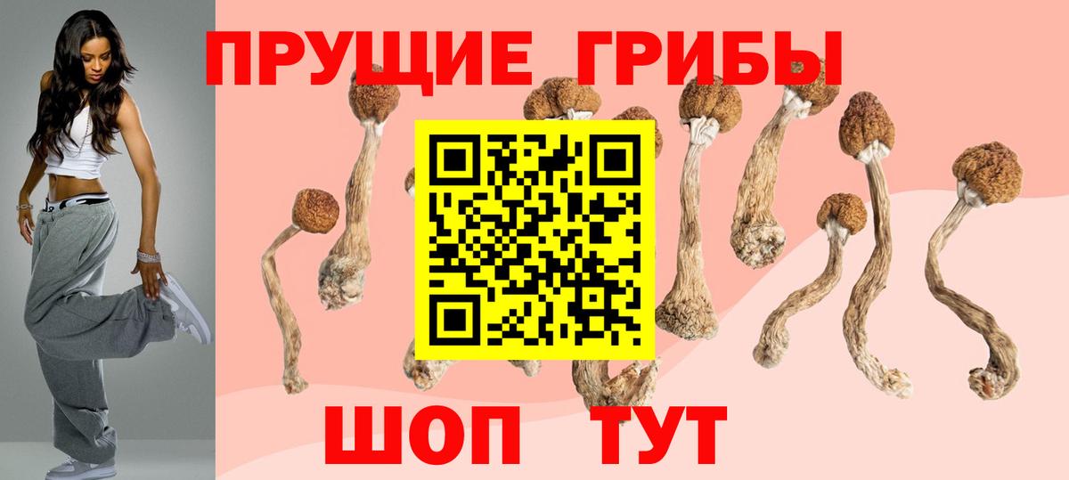 Галлюциногенные грибы ЛСД  Вход с VPN  Борисоглебск  Псилоцибиновые грибы MAGIC MUSHROOMS 